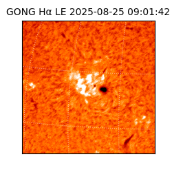 gong - 2025-08-25T09:01:42