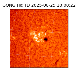 gong - 2025-08-25T10:00:22