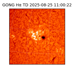 gong - 2025-08-25T11:00:22