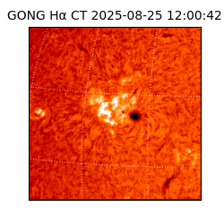 gong - 2025-08-25T12:00:42