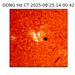 gong - 2025-08-25T14:00:42