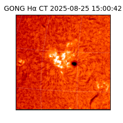 gong - 2025-08-25T15:00:42