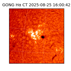 gong - 2025-08-25T16:00:42