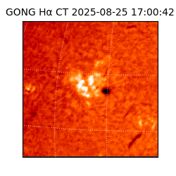 gong - 2025-08-25T17:00:42