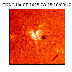 gong - 2025-08-25T18:00:42