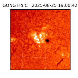 gong - 2025-08-25T19:00:42