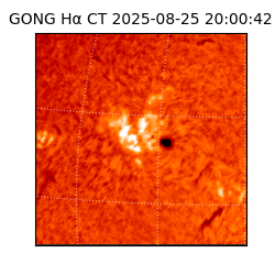 gong - 2025-08-25T20:00:42