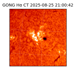 gong - 2025-08-25T21:00:42