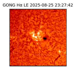 gong - 2025-08-25T23:27:42