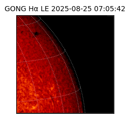 gong - 2025-08-25T07:05:42