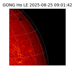 gong - 2025-08-25T09:01:42