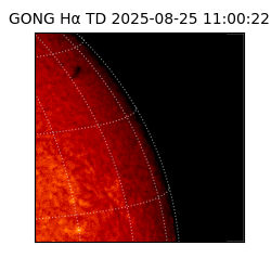 gong - 2025-08-25T11:00:22