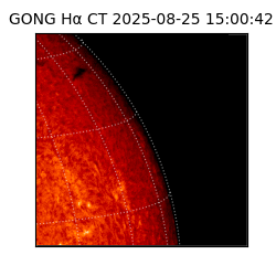 gong - 2025-08-25T15:00:42