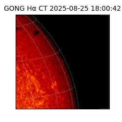 gong - 2025-08-25T18:00:42
