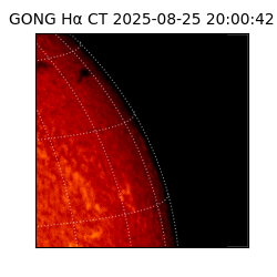 gong - 2025-08-25T20:00:42