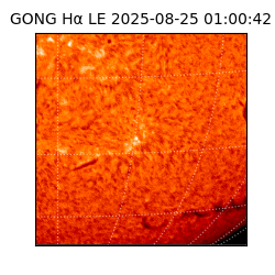 gong - 2025-08-25T01:00:42