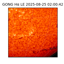 gong - 2025-08-25T02:00:42