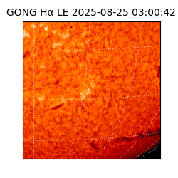 gong - 2025-08-25T03:00:42
