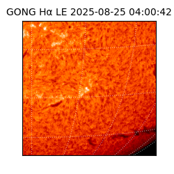 gong - 2025-08-25T04:00:42