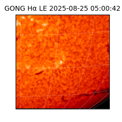 gong - 2025-08-25T05:00:42