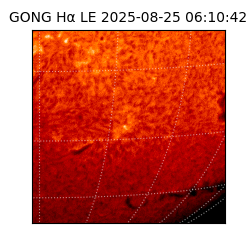 gong - 2025-08-25T06:10:42