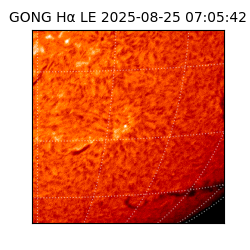 gong - 2025-08-25T07:05:42