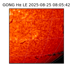 gong - 2025-08-25T08:05:42