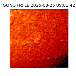 gong - 2025-08-25T09:01:42