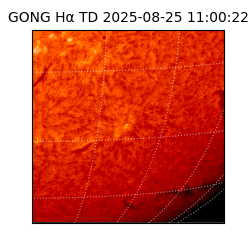 gong - 2025-08-25T11:00:22