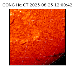 gong - 2025-08-25T12:00:42
