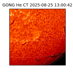 gong - 2025-08-25T13:00:42