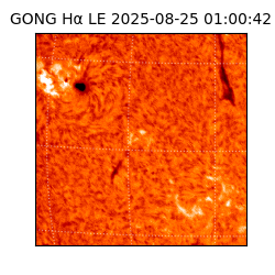 gong - 2025-08-25T01:00:42