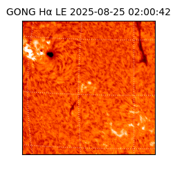 gong - 2025-08-25T02:00:42