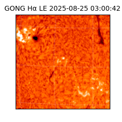 gong - 2025-08-25T03:00:42