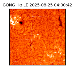 gong - 2025-08-25T04:00:42