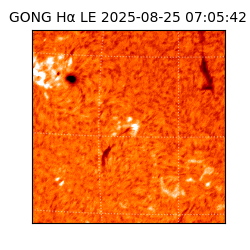 gong - 2025-08-25T07:05:42