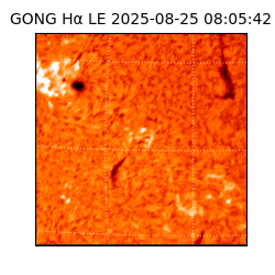 gong - 2025-08-25T08:05:42