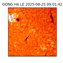 gong - 2025-08-25T09:01:42