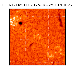 gong - 2025-08-25T11:00:22