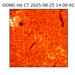 gong - 2025-08-25T14:00:42