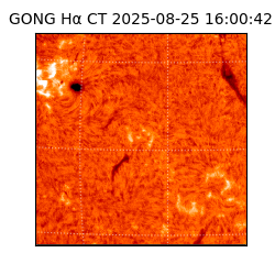 gong - 2025-08-25T16:00:42