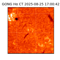 gong - 2025-08-25T17:00:42