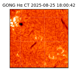 gong - 2025-08-25T18:00:42