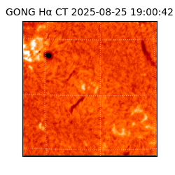 gong - 2025-08-25T19:00:42