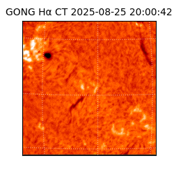 gong - 2025-08-25T20:00:42