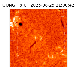 gong - 2025-08-25T21:00:42