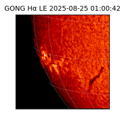 gong - 2025-08-25T01:00:42