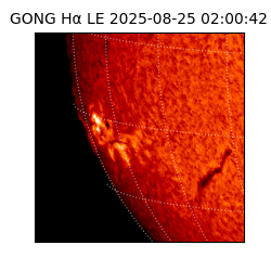 gong - 2025-08-25T02:00:42
