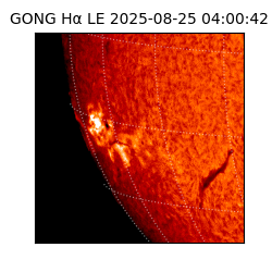 gong - 2025-08-25T04:00:42