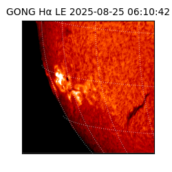 gong - 2025-08-25T06:10:42